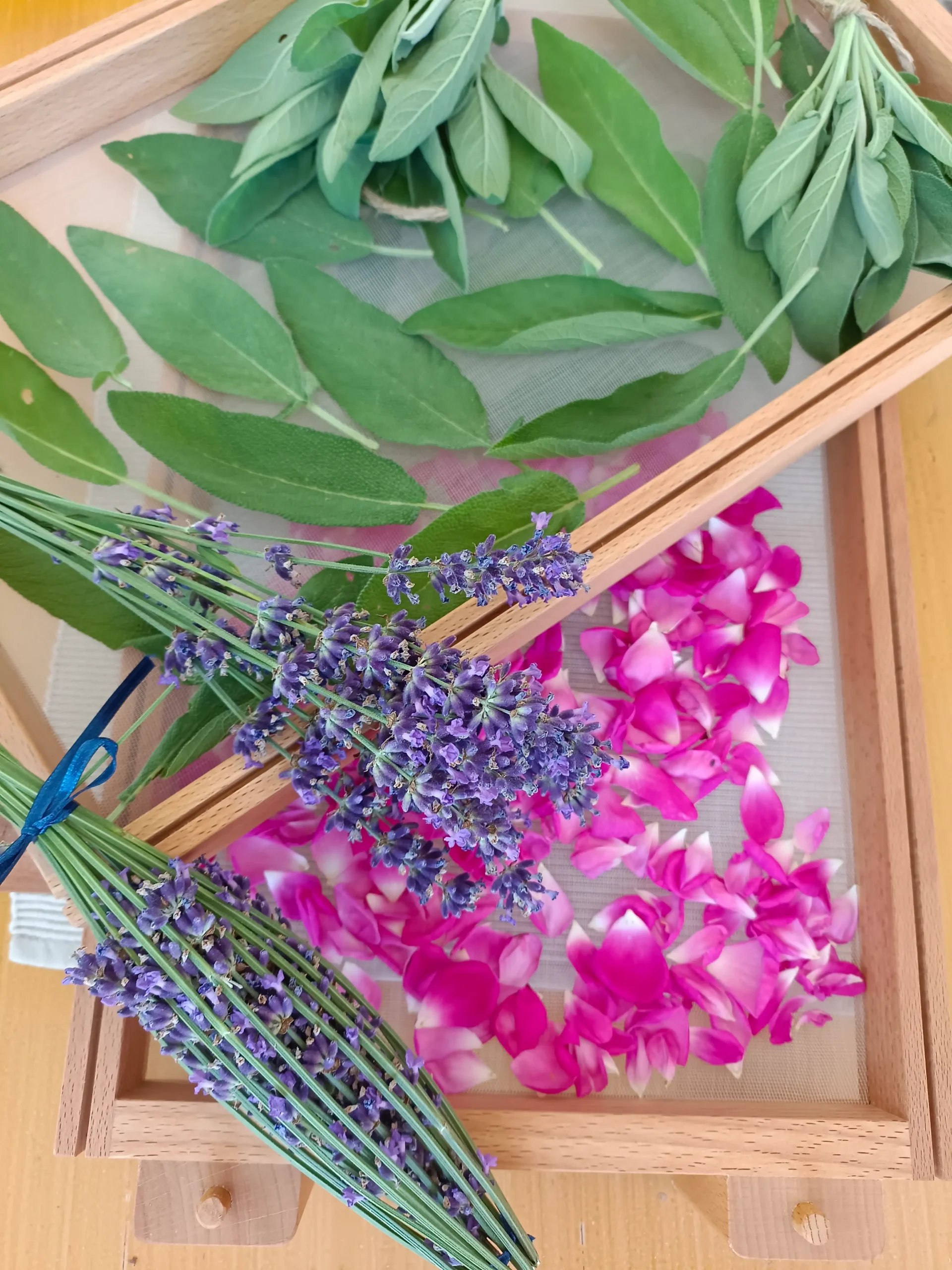 Salbei, Lavendel und Rosenblätter zum Trocknen